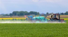 Le COVID ne justifie pas d’épandre des pesticides au ras des habitations : 9 ONG saisissent la justice en urgence pour stopper les dérogations aux distances d’épandage